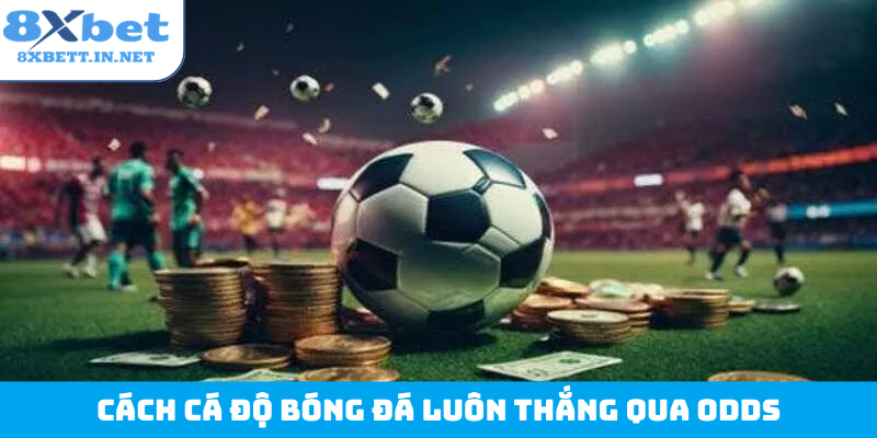 Cách cá độ bóng đá luôn thắng qua odds