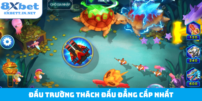 Đấu trường thách đấu đẳng cấp nhất