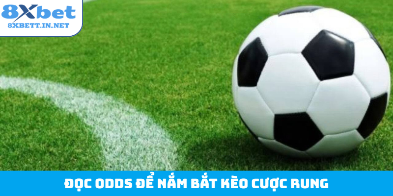 Đọc odds để nắm bắt kèo cược rung