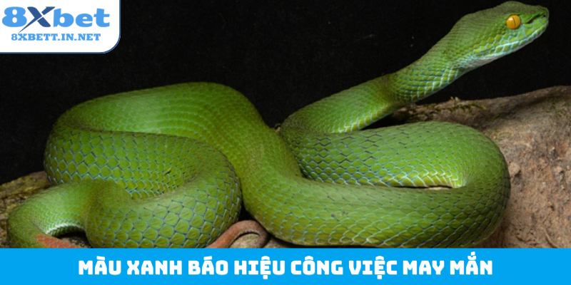 Màu xanh báo hiệu công việc may mắn