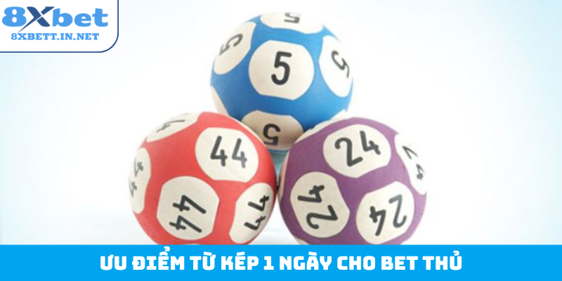 Ưu điểm từ kép 1 ngày cho bet thủ