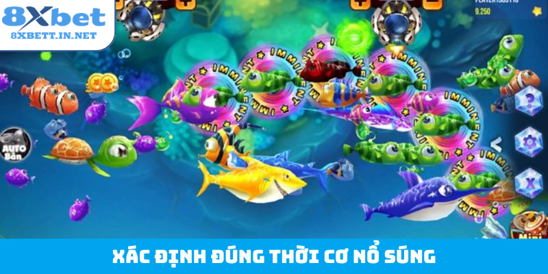 Xác định đúng thời cơ nổ súng